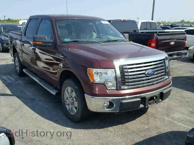 Фотография 1FTEW1C81AFB84391 - FORD F150 2010