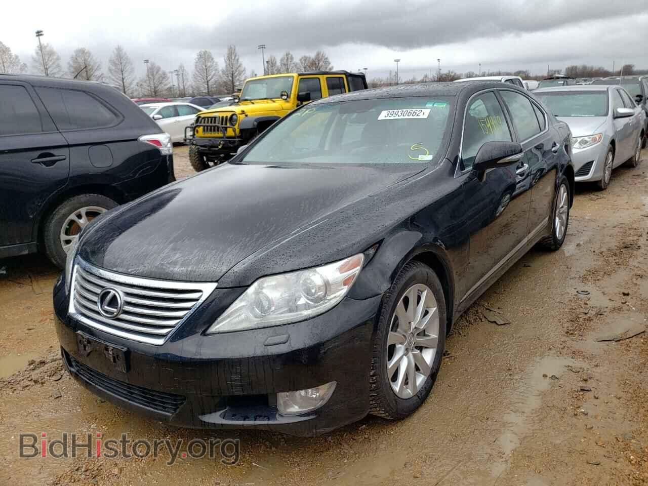 2011 LEXUS LS460 - VIN: JTHCL5EFXB5010635 - Фото 2