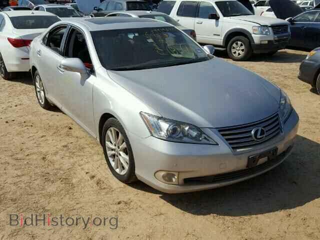 Фотография JTHBK1EG0A2382369 - LEXUS ES 350 2010