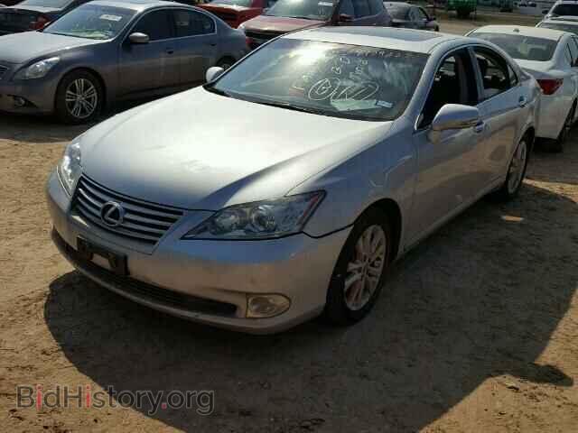 2010 LEXUS ES 350 - VIN: JTHBK1EG0A2382369 - Фото 2