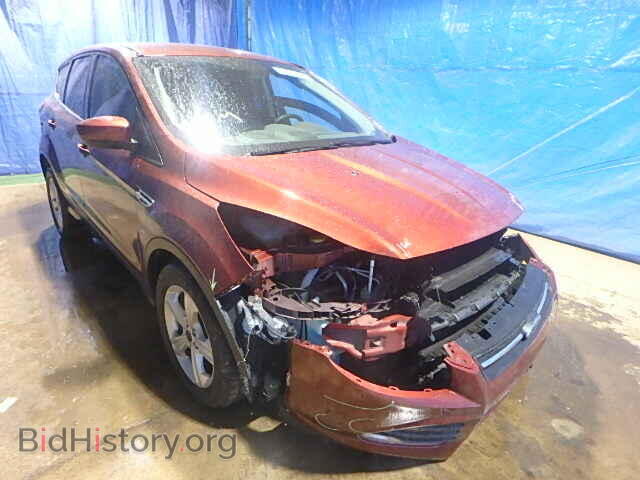 Photo 1FMCU0GX4EUC06146 - FORD ESCAPE 2014