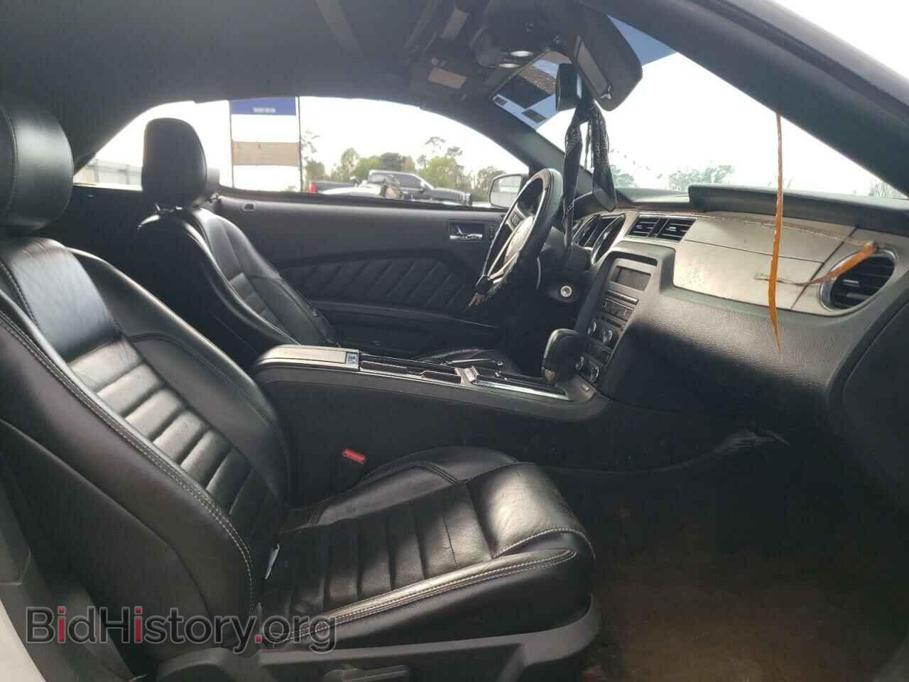 2013 FORD MUSTANG - VIN: 1ZVBP8EM4D5264875 - Фото 5
