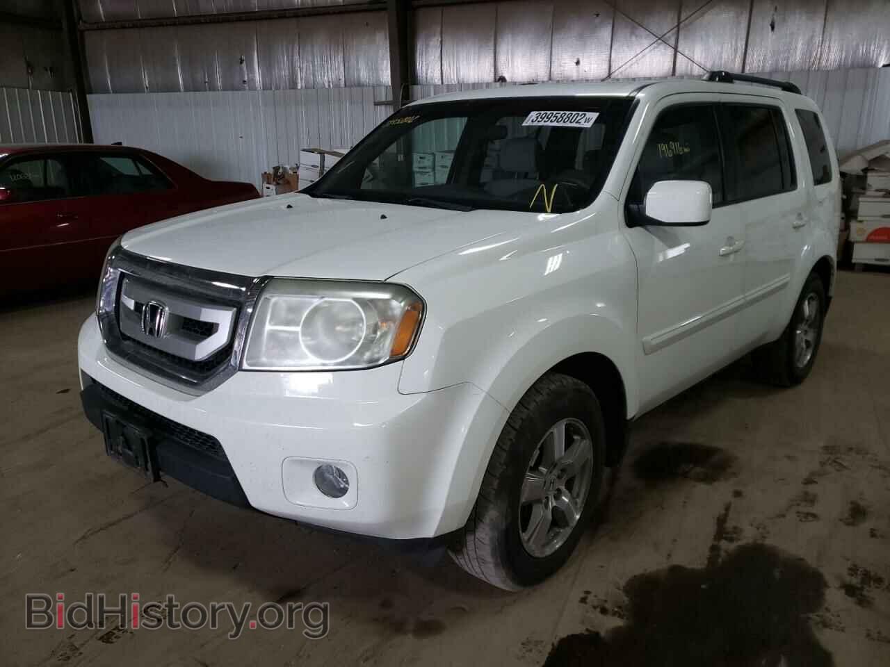 2011 HONDA PILOT - VIN: 5FNYF4H42BB001431 - Фото 2