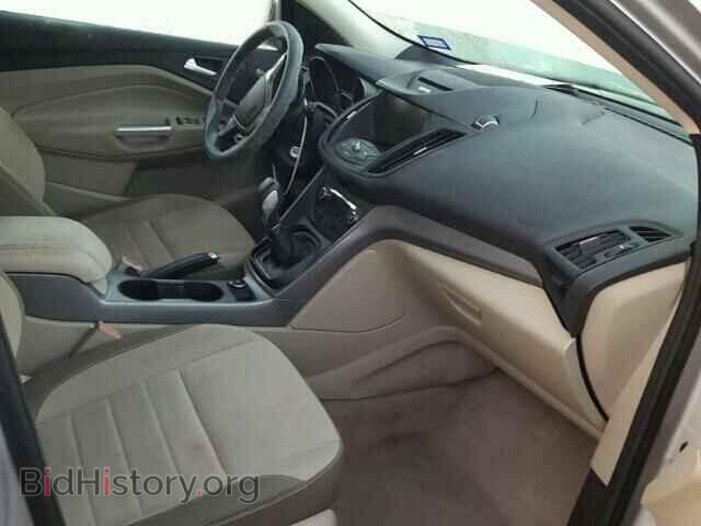 2013 FORD ESCAPE - VIN: 1FMCU0GX7DUB81788 - Photo 5