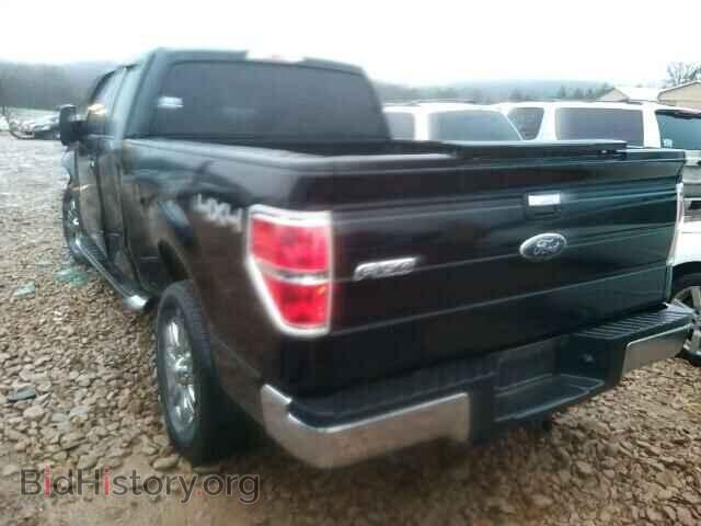 2012 FORD F150 - VIN: 1FTFX1ET6CFA11715 - Фото 3