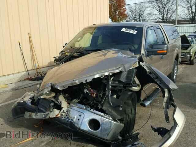 2013 FORD F150 - VIN: 1FTFX1CT9DFD47475 - Фото 2