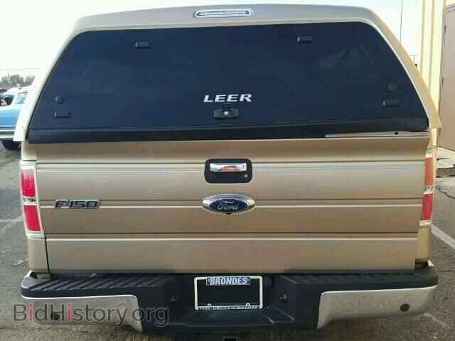2013 FORD F150 - VIN: 1FTFX1CT9DFD47475 - Фото 10