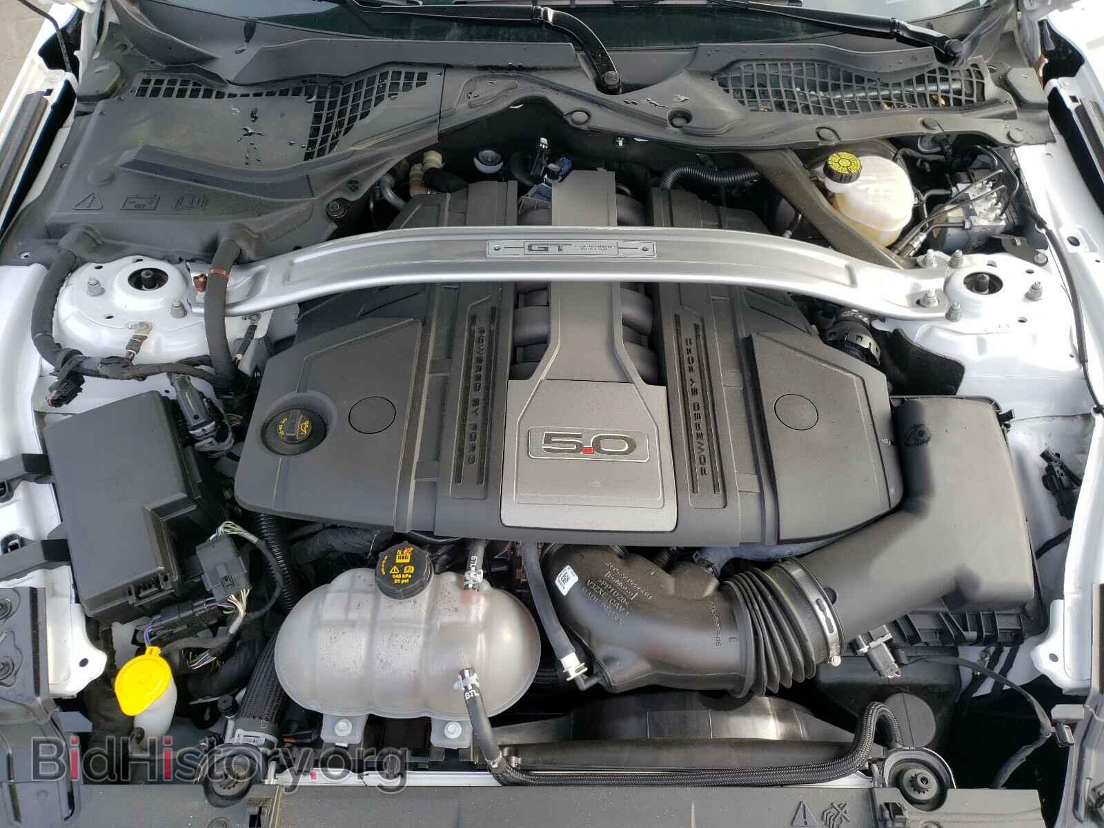 2019 FORD MUSTANG - VIN: 1FA6P8CF8K5105806 - Фото 7