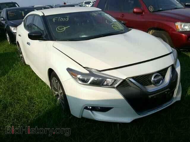Photo 1N4AA6AP6HC428543 - NISSAN MAXIMA 2017