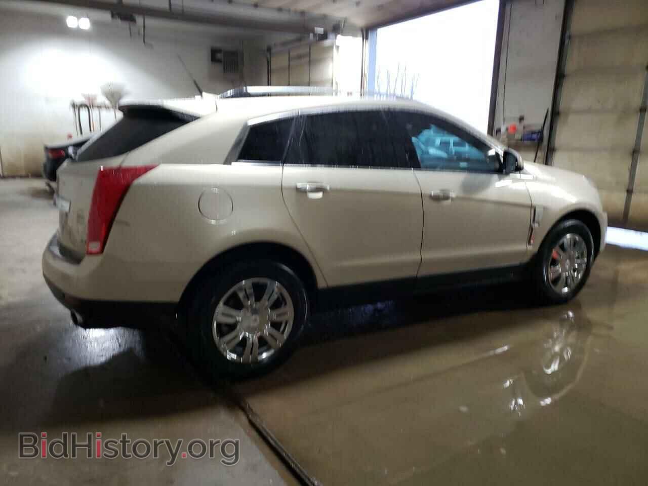 2011 CADILLAC SRX - VIN: 3GYFNAEYXBS664148 - Фото 3