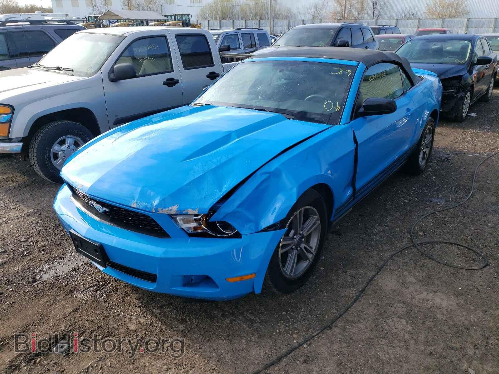 2011 FORD MUSTANG - VIN: 1ZVBP8EM1B5120360 - Фото 2