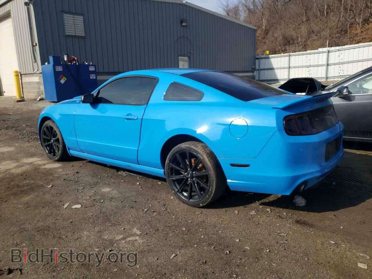 2013 FORD MUSTANG - VIN: 1ZVBP8AM5D5262011 - Фото 2