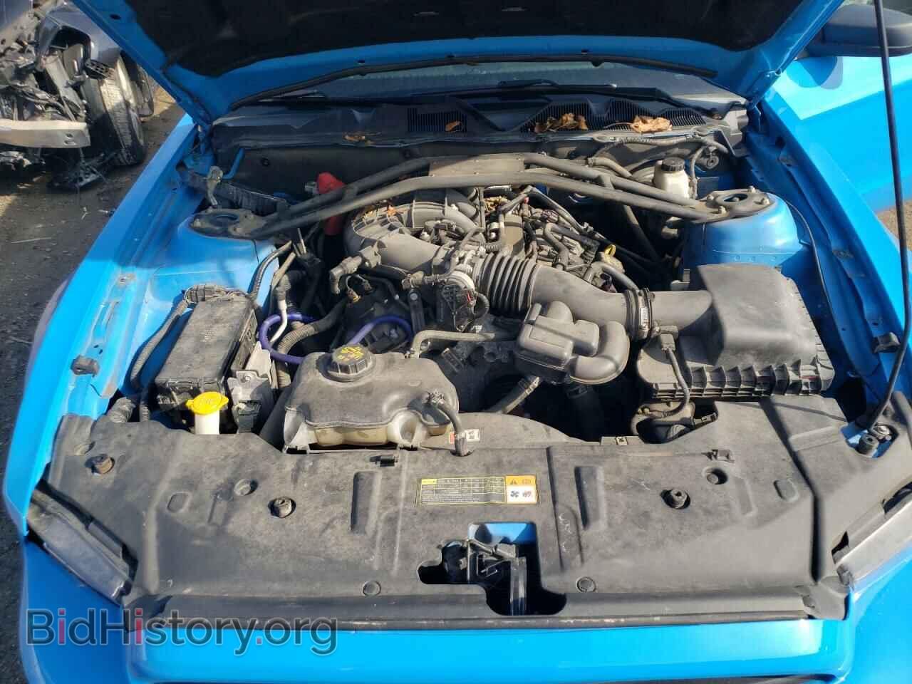 2013 FORD MUSTANG - VIN: 1ZVBP8AM5D5262011 - Фото 11