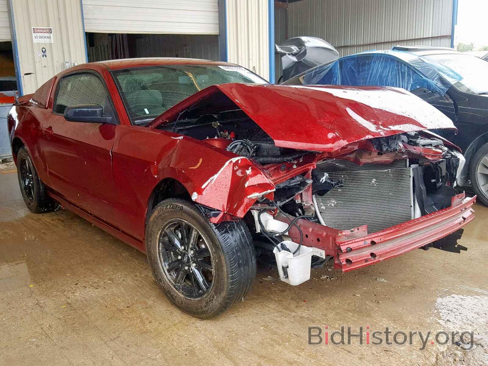 Photo 1ZVBP8AM9E5316251 - FORD MUSTANG 2014