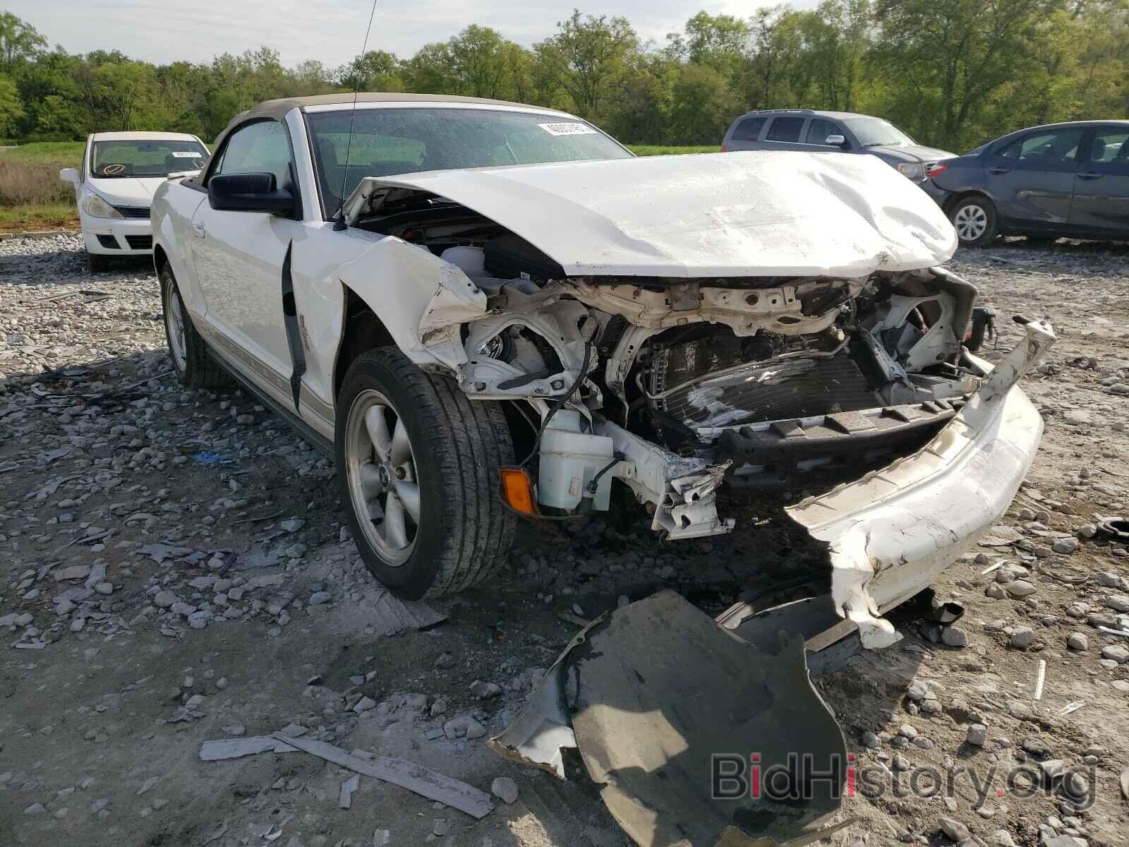 Photo 1ZVHT84N985117442 - FORD MUSTANG 2008