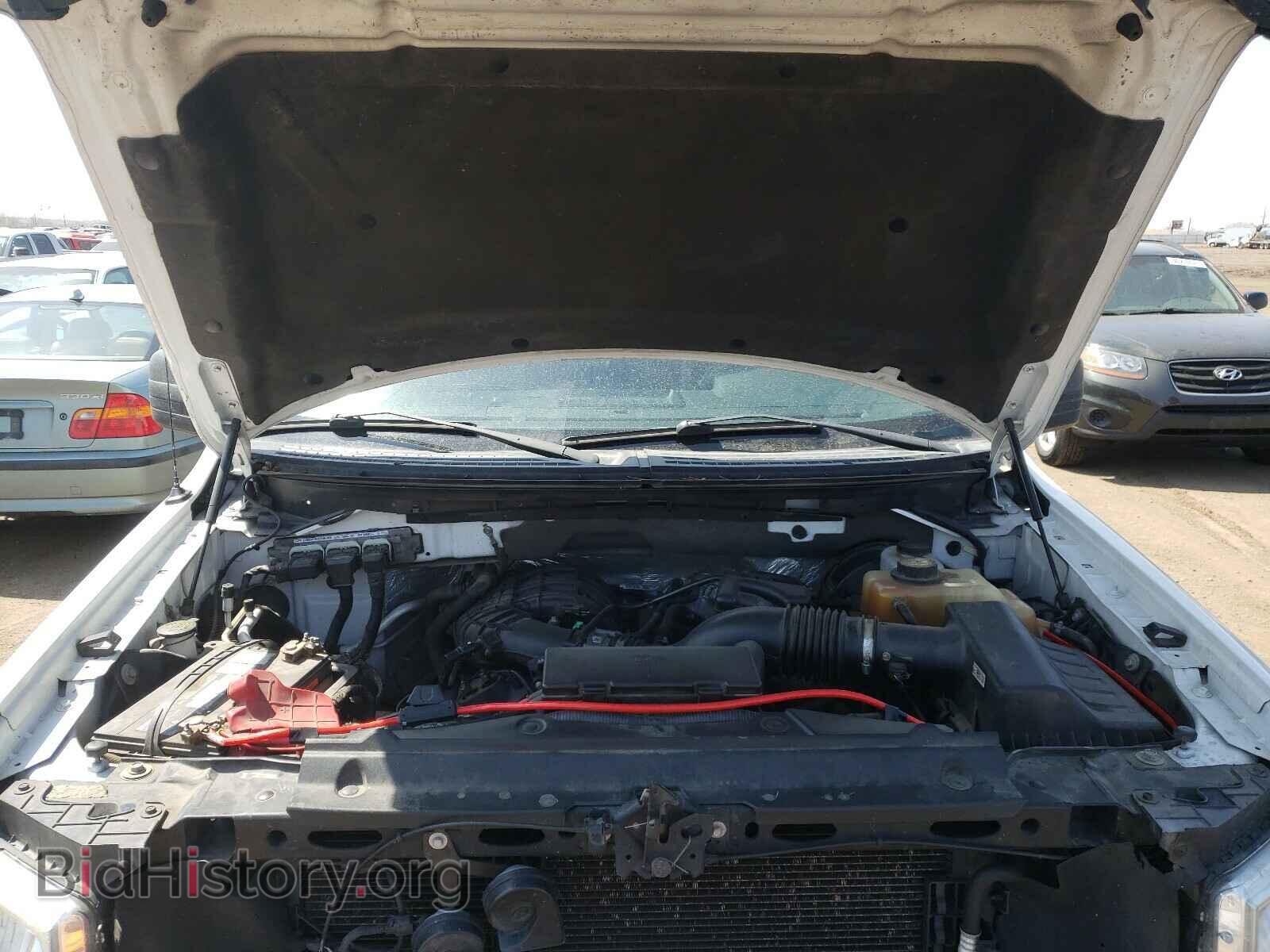 2013 FORD F150 - VIN: 1FTMF1CM8DFC06416 - Фото 7