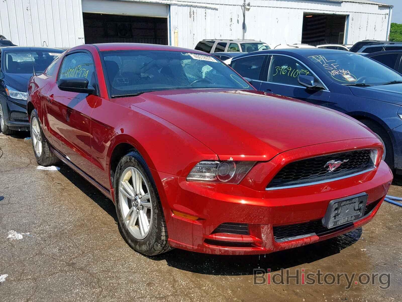 Photo 1ZVBP8AM4E5219037 - FORD MUSTANG 2014