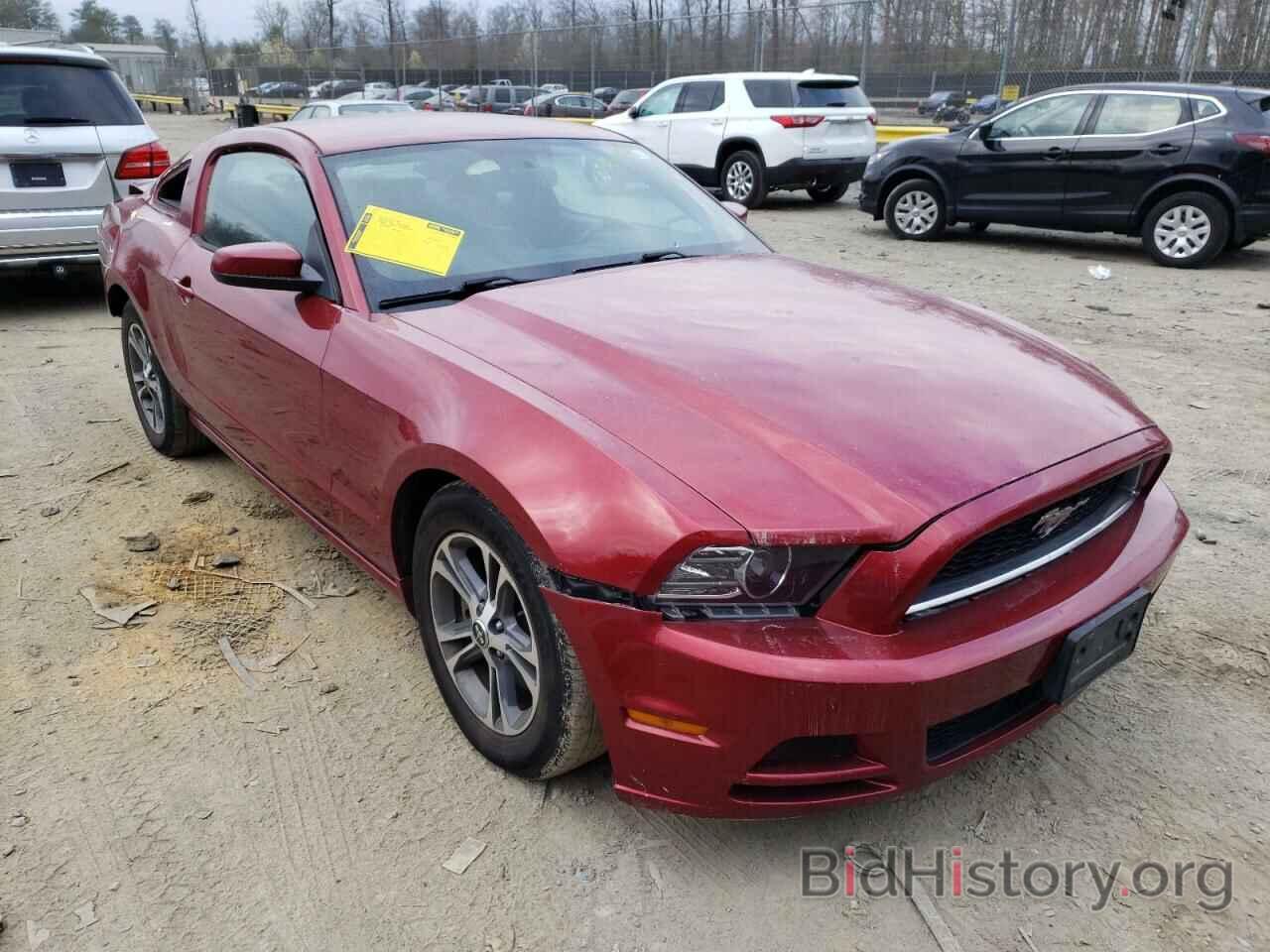 Photo 1ZVBP8AM3E5305813 - FORD MUSTANG 2014