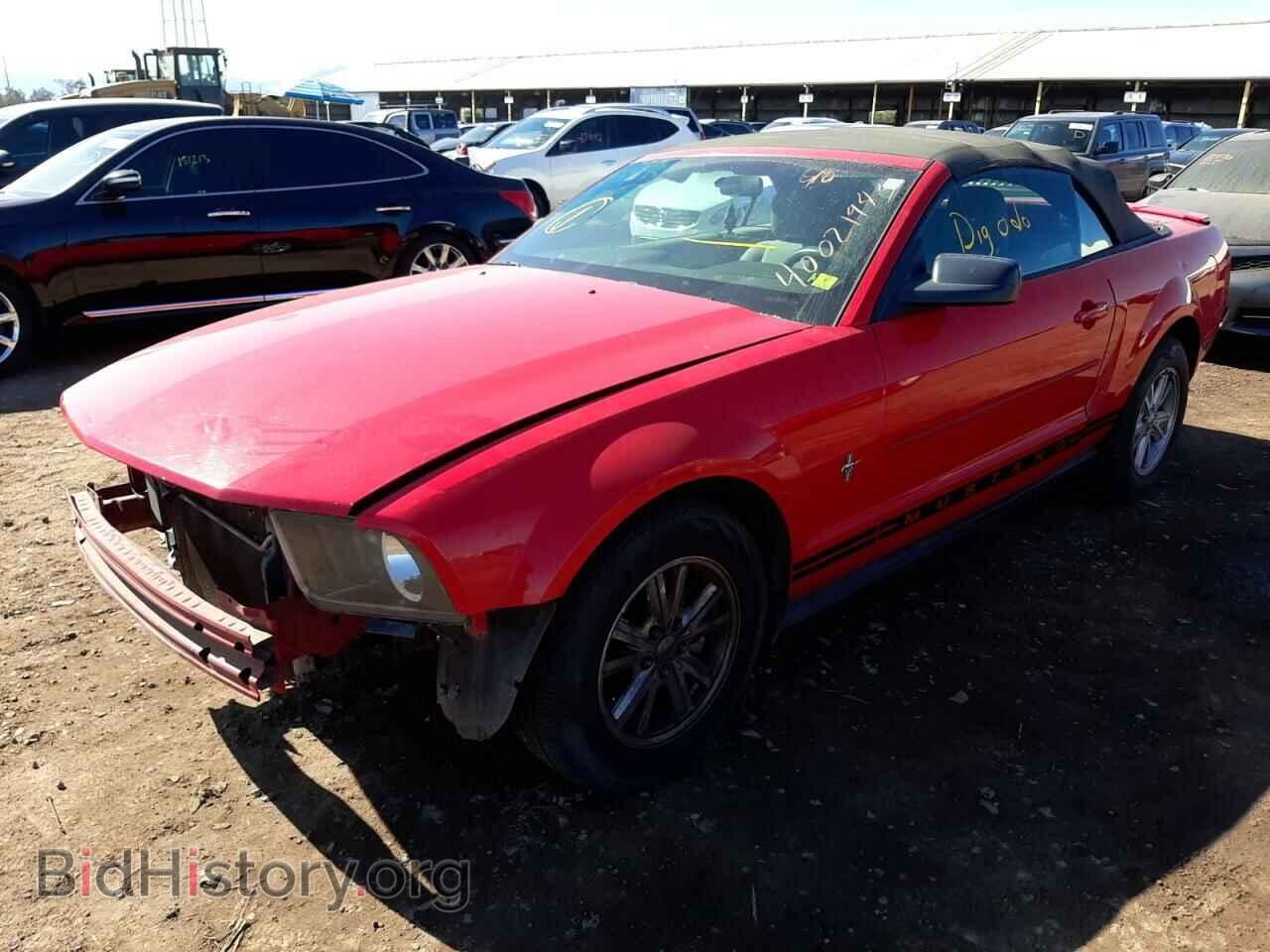 Фотография 1ZVFT84N875273087 - FORD MUSTANG 2007