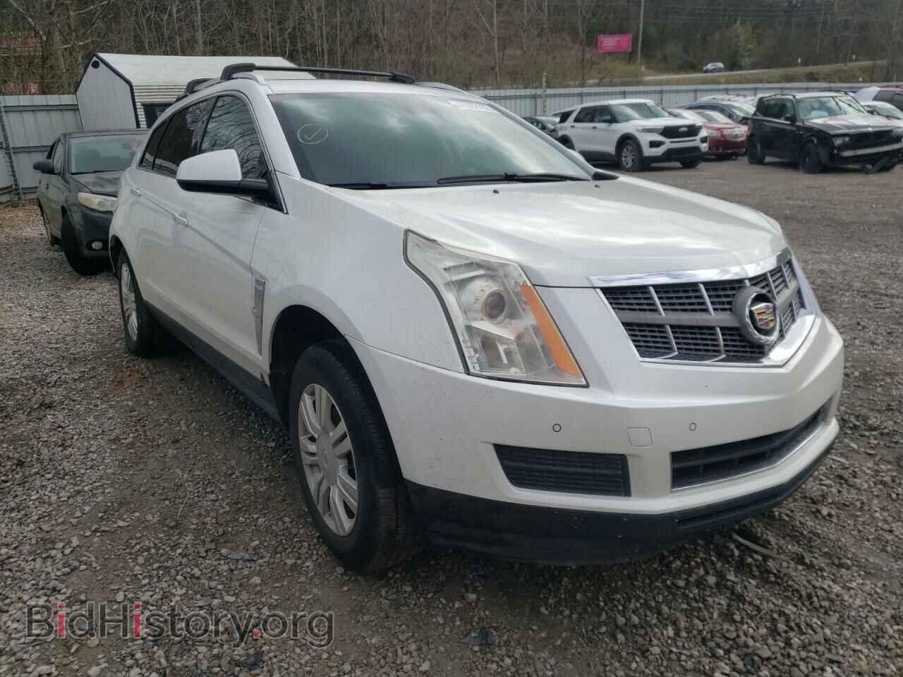 Фотография 3GYFNAEY1AS561750 - CADILLAC SRX 2010