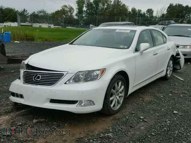 2008 LEXUS LS460 - VIN: JTHBL46F385083374 - Фото 2