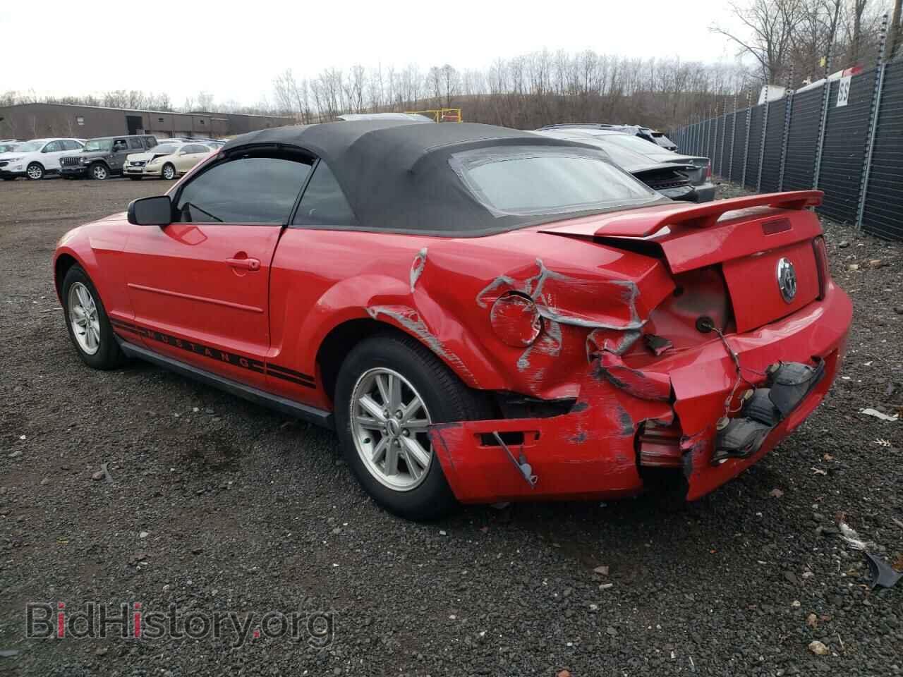 2006 FORD MUSTANG - VIN: 1ZVFT84N865241903 - Фото 2