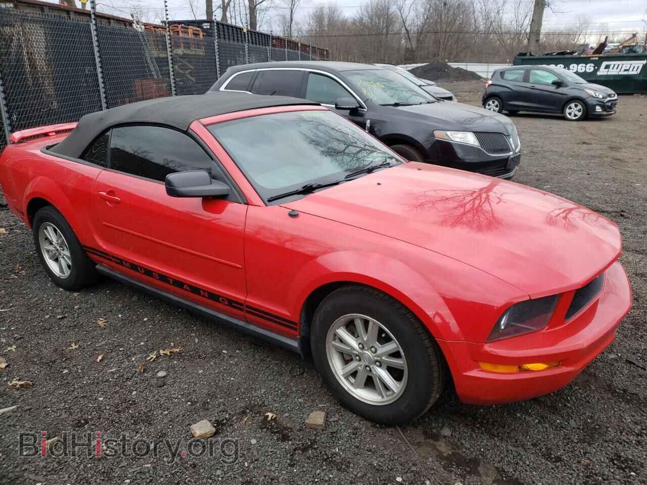 2006 FORD MUSTANG - VIN: 1ZVFT84N865241903 - Фото 4