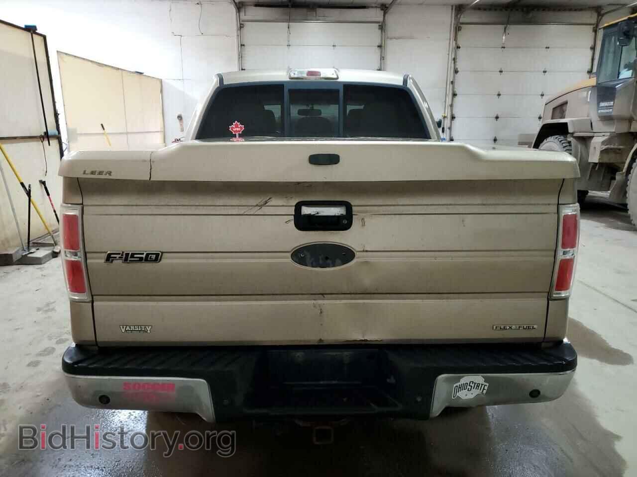 2011 FORD F-150 - VIN: 1FTFW1EF9BFA39021 - Фото 6