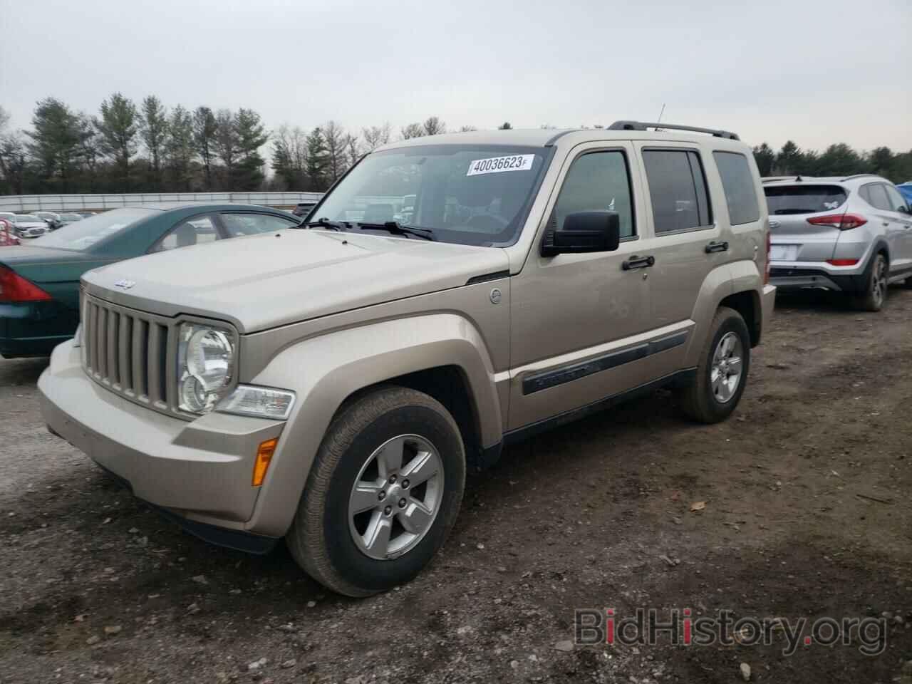 Фотография 1J4PN2GK9BW503247 - JEEP LIBERTY 2011