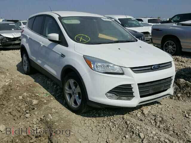 Фотография 1FMCU0GX4EUB86156 - FORD ESCAPE 2014