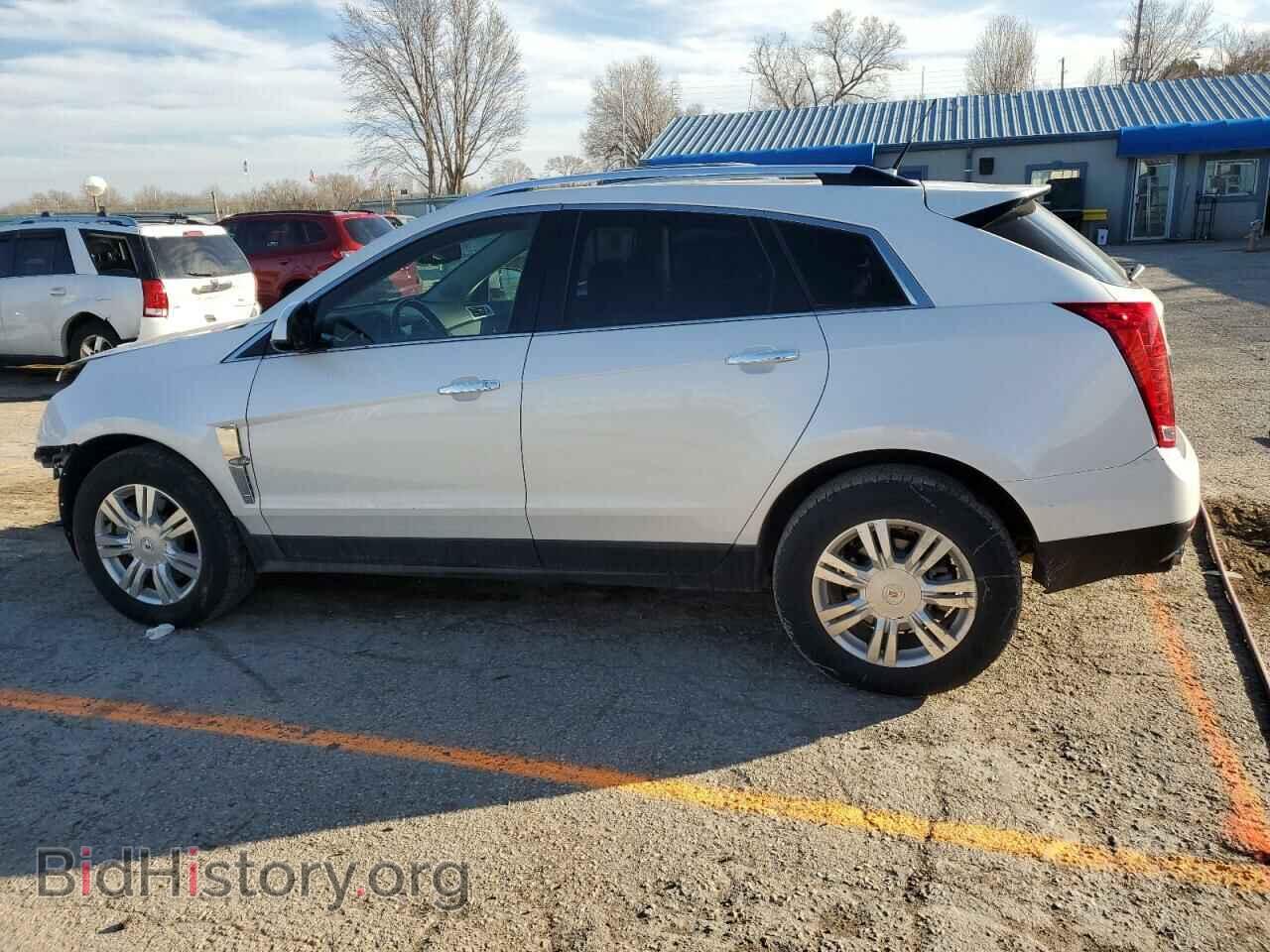 2011 CADILLAC SRX - VIN: 3GYFNAEY6BS532911 - Фото 2