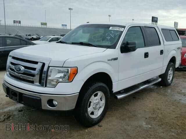2012 FORD F150 - VIN: 1FTFW1EF4CFB97025 - Фото 2