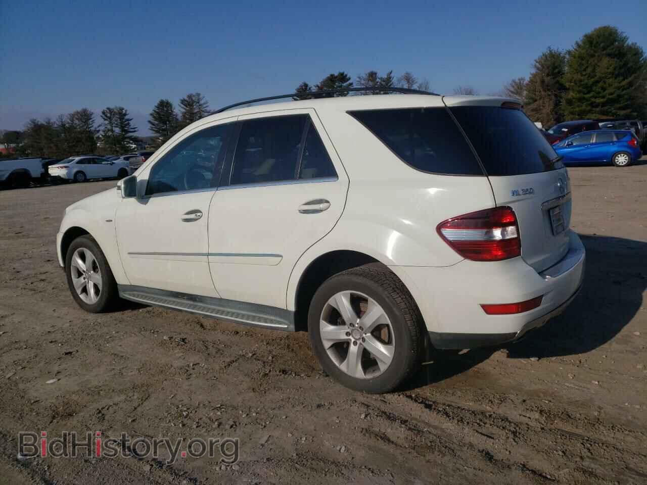 2011 MERCEDES-BENZ M-CLASS - VIN: 4JGBB2FBXBA636618 - Фото 2