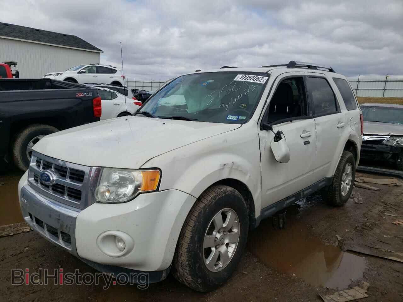 2011 FORD ESCAPE - VIN: 1FMCU0E77BKB27581 - Фото 2