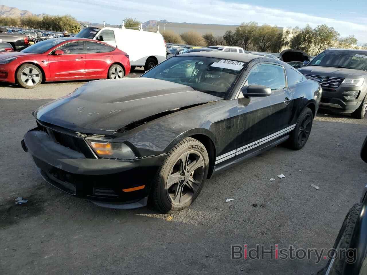Photo 1ZVBP8AN4A5141037 - FORD MUSTANG 2010