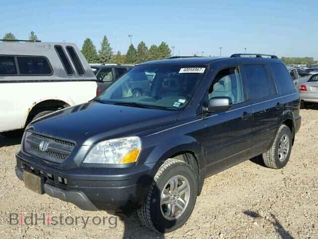 2005 HONDA PILOT - VIN: 5FNYF18675B005687 - Фото 2