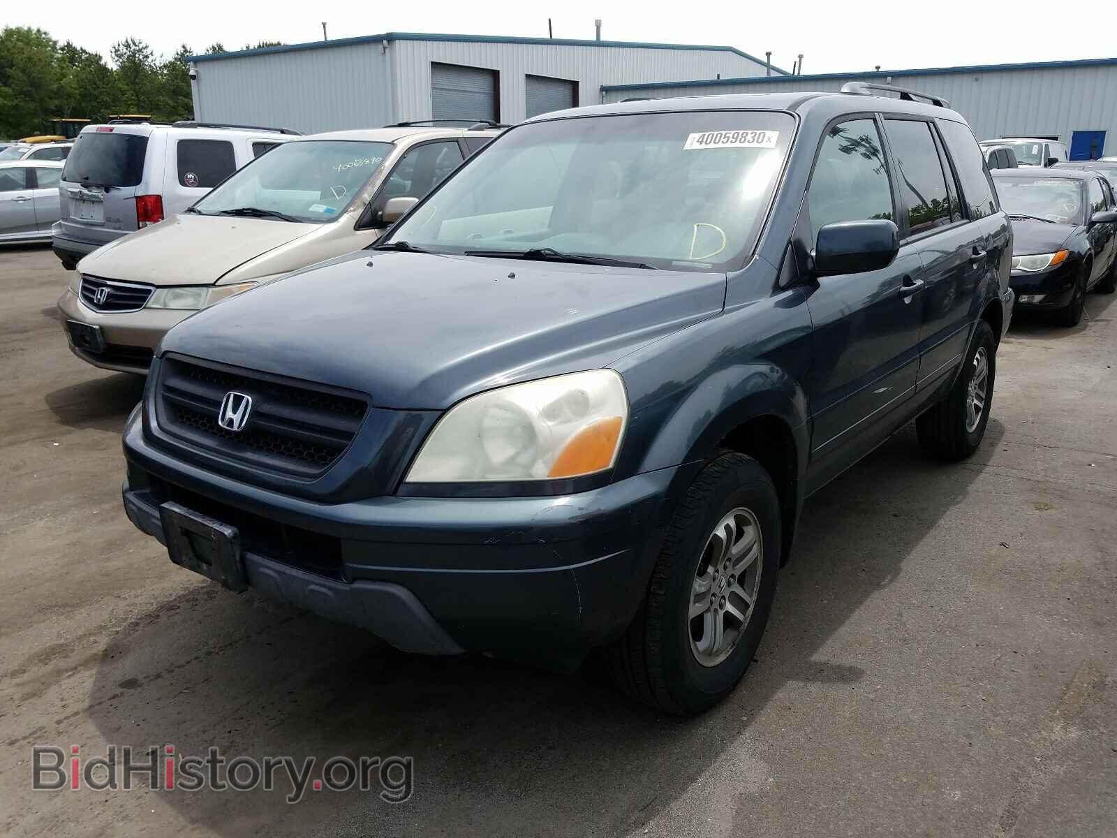 2005 HONDA PILOT - VIN: 5FNYF18555B067371 - Фото 2