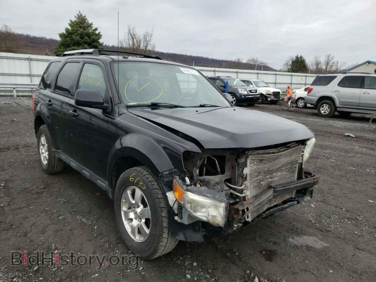 Фотография 1FMCU9EG3BKB79018 - FORD ESCAPE 2011