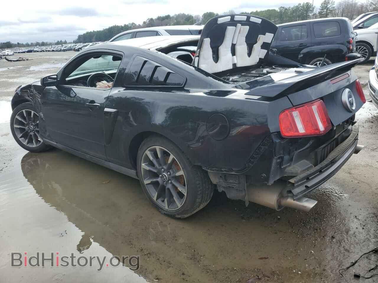 2012 FORD MUSTANG - VIN: 1ZVBP8CF8C5262873 - Фото 2