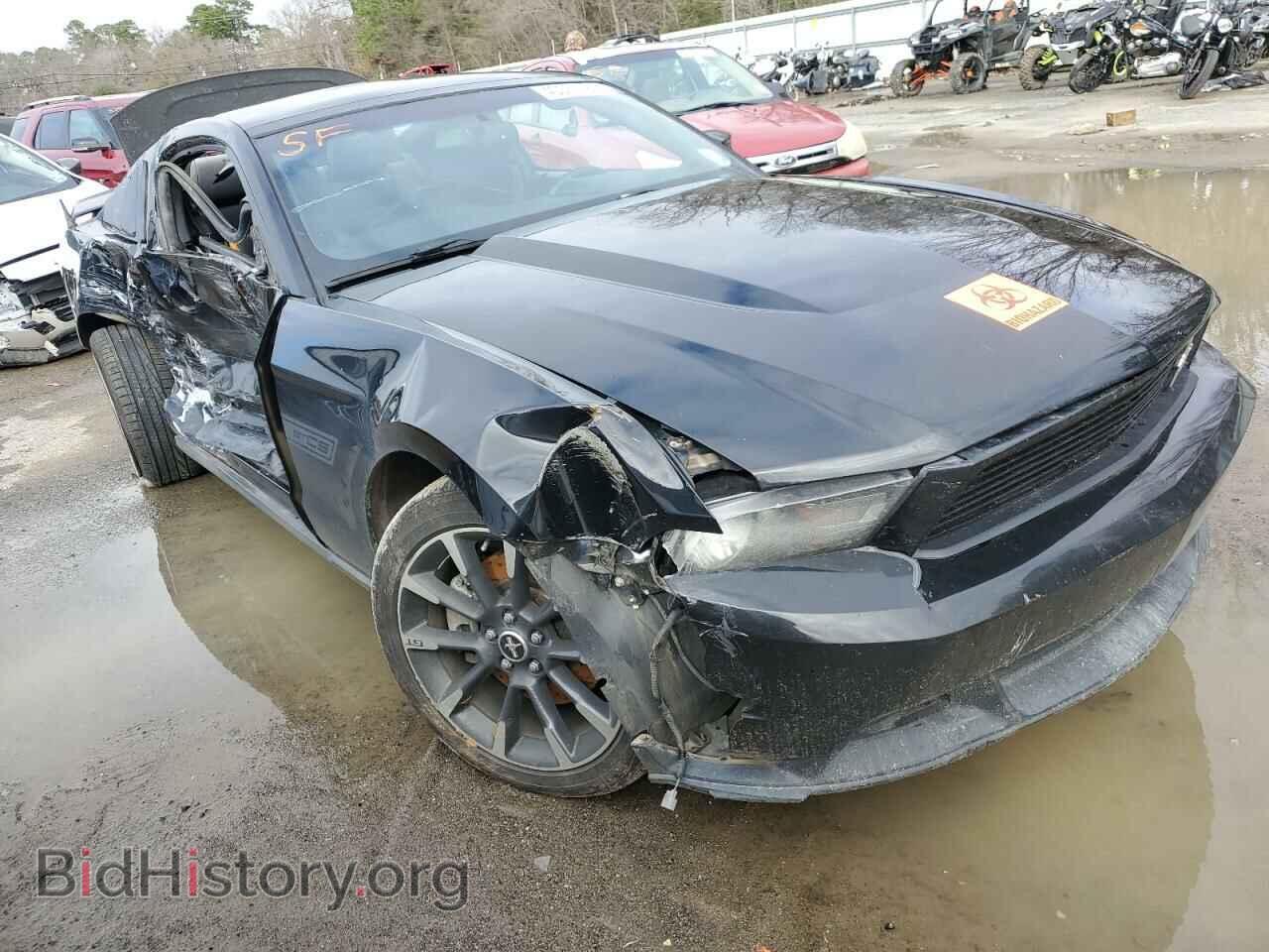 2012 FORD MUSTANG - VIN: 1ZVBP8CF8C5262873 - Фото 4