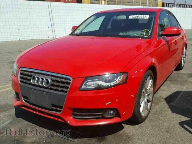 2011 AUDI A4 - VIN: WAUEFAFL3BN000637 - Фото 2