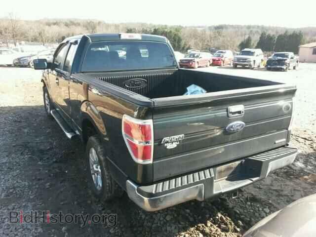 2013 FORD F150 - VIN: 1FTFX1CF3DFB06005 - Фото 3