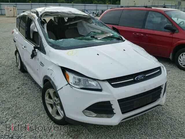 Photo 1FMCU0GX9EUC85930 - FORD ESCAPE 2014
