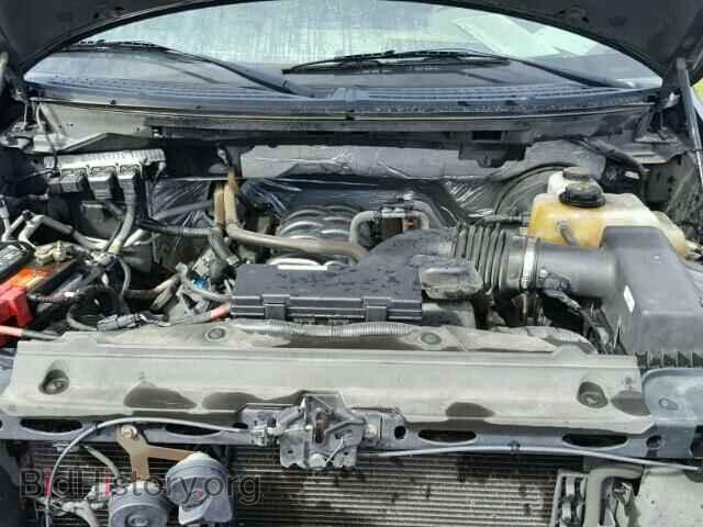 2013 FORD F150 - VIN: 1FTFW1CF8DFD67634 - Фото 7