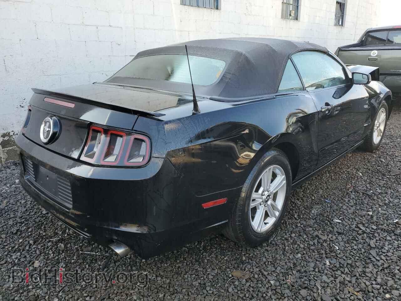 2013 FORD MUSTANG - VIN: 1ZVBP8EM9D5242032 - Фото 3