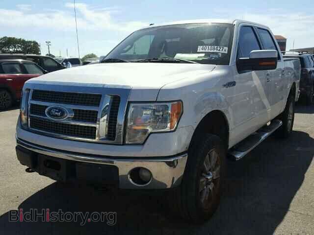 2010 FORD F150 - VIN: 1FTFW1EV7AFC49607 - Фото 2