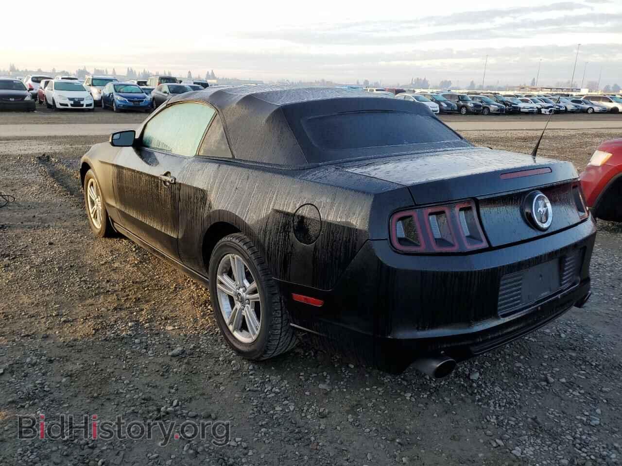 2013 FORD MUSTANG - VIN: 1ZVBP8EM4D5229852 - Фото 2