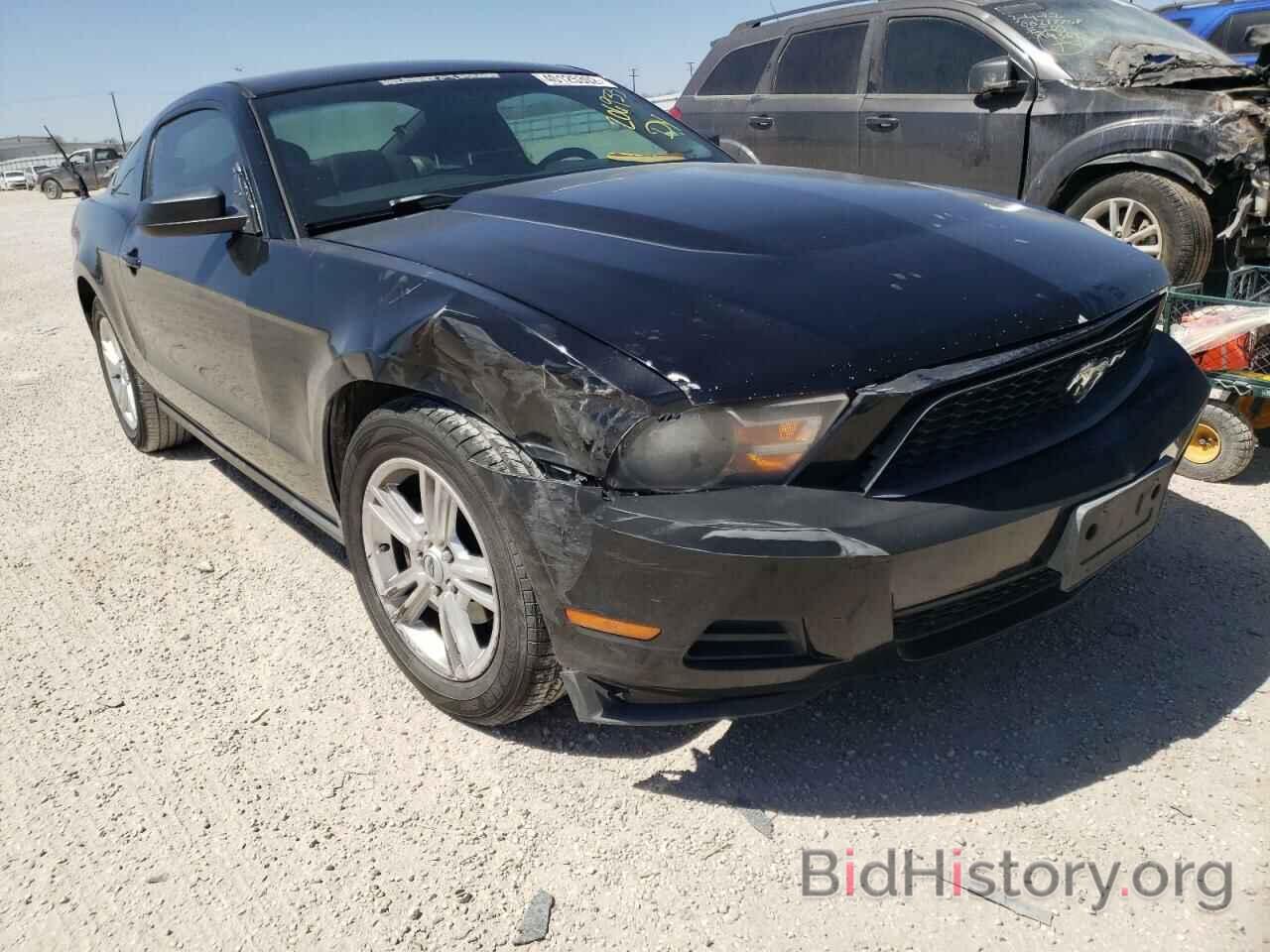 Photo 1ZVBP8AN7A5151917 - FORD MUSTANG 2010