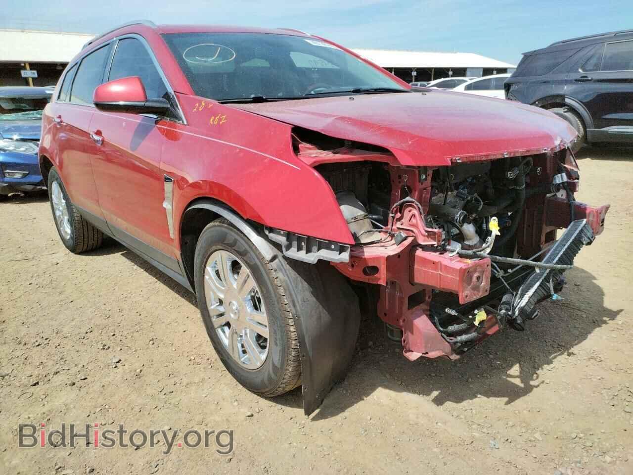 Фотография 3GYFNAEY7BS545201 - CADILLAC SRX 2011