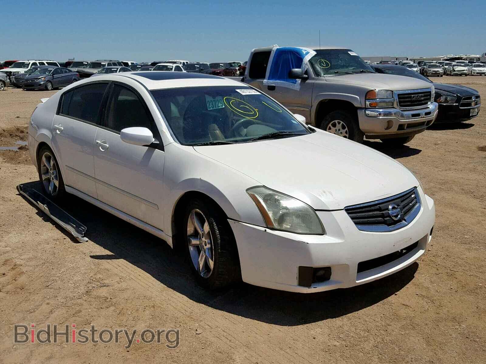 Photo 1N4BA41E58C836636 - NISSAN MAXIMA 2008